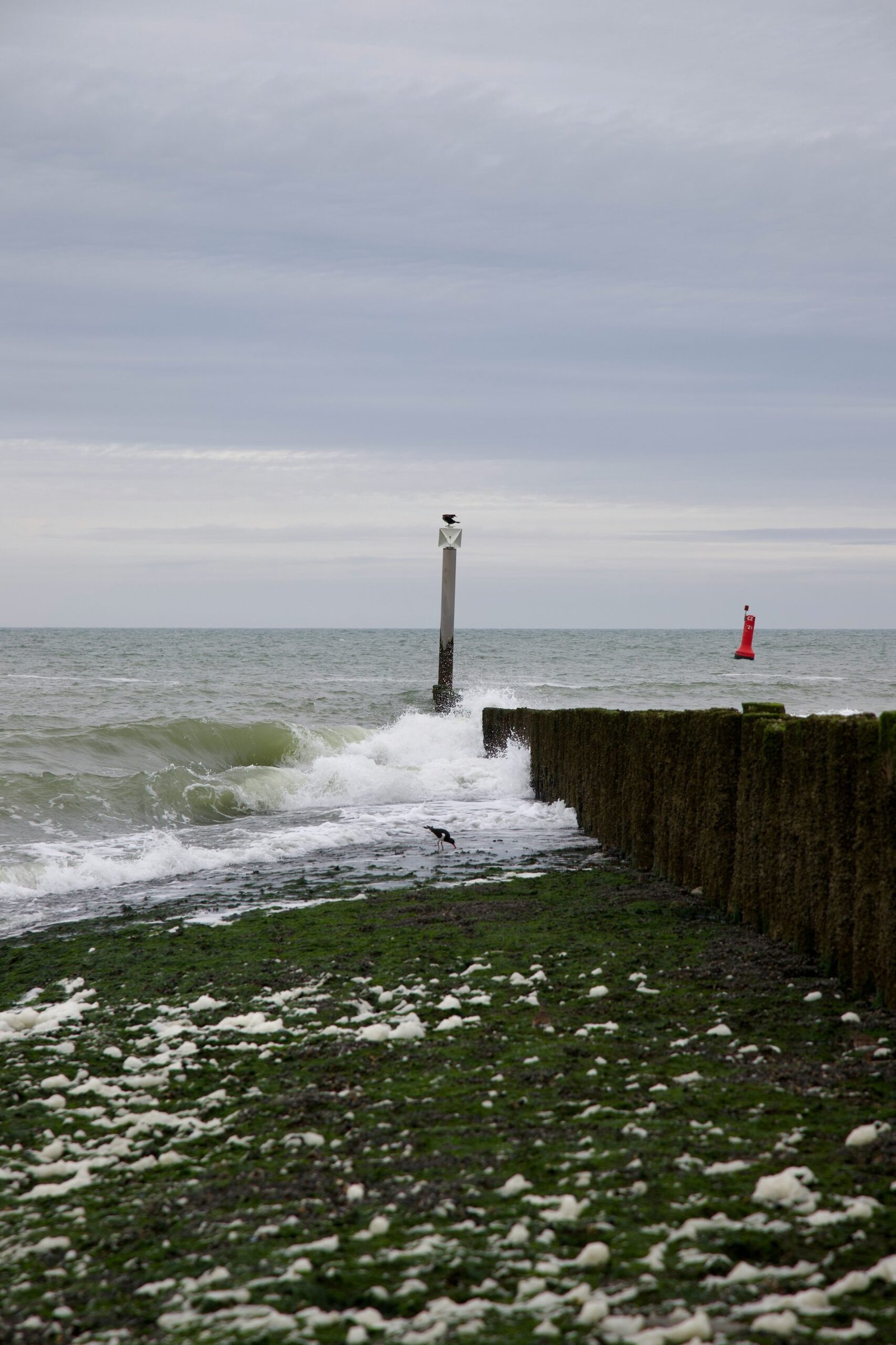 a lighthouse in the distance with a body of water in the foreground